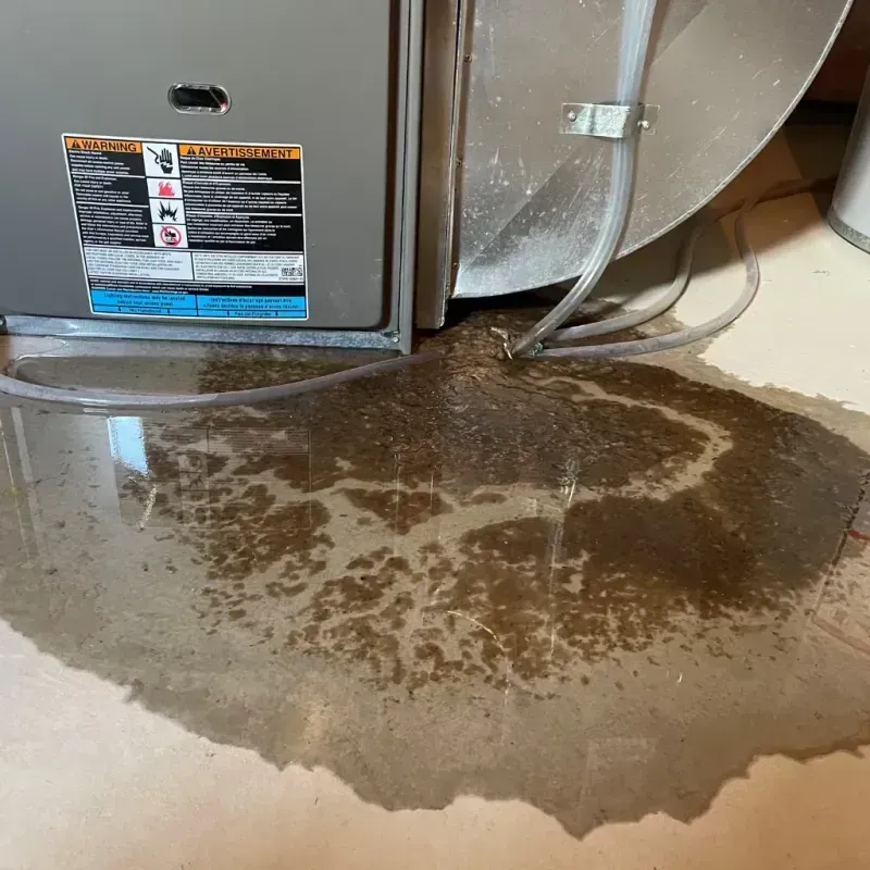 Appliance Leak Cleanup in Wilson County, TN